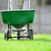 technician fertilizing a green lawn