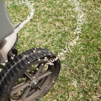 Distributing seed on lawn.