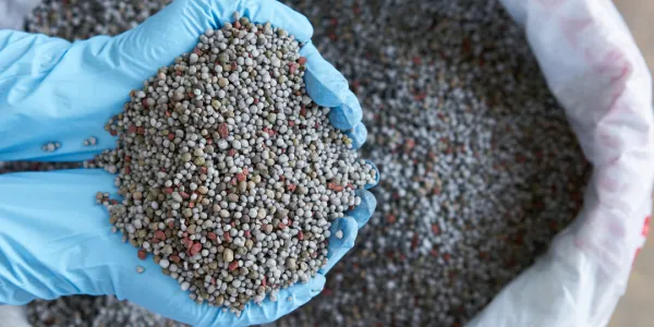 someone holding fertilizer in their hands, over a large bag of fertilizer