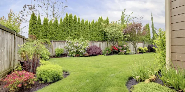 decorated lawn