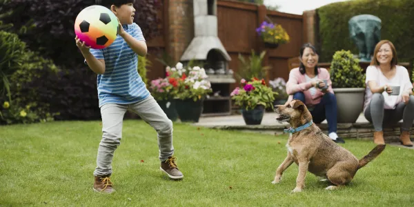young boy throwing a soccer ball to this dog in the backyard