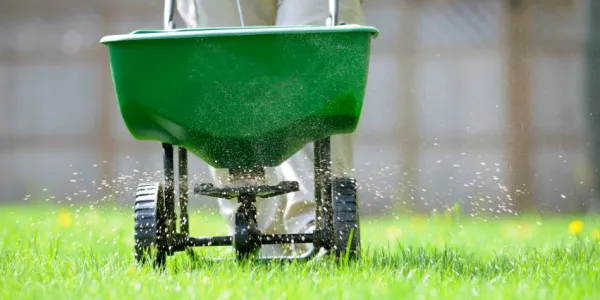 technician fertilizing a green lawn