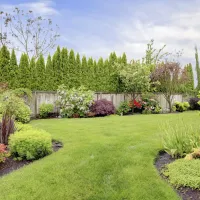 decorated lawn
