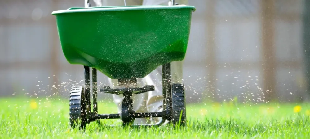 technician fertilizing a green lawn