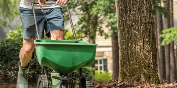 guy fertilizing lawn
